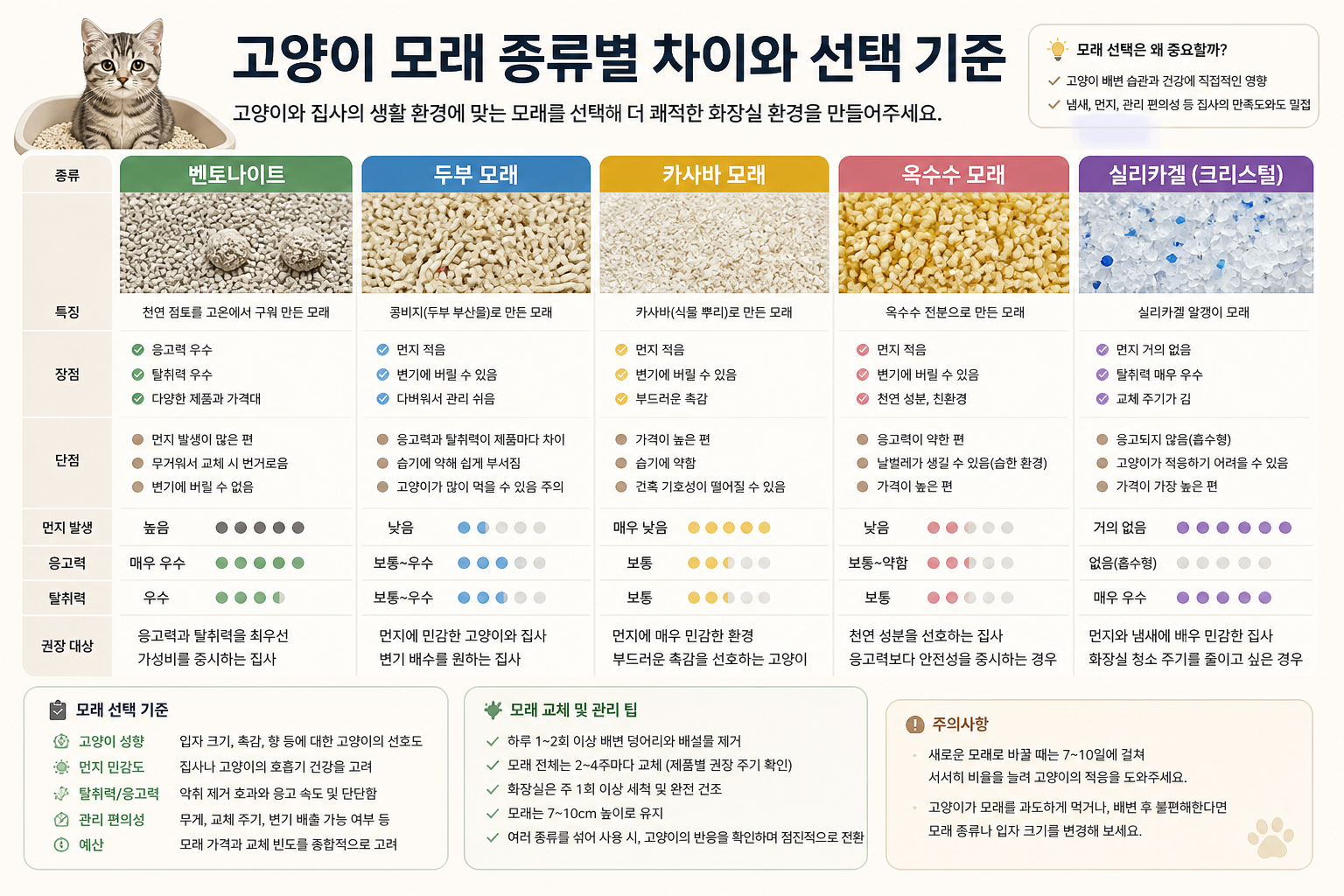 고양이 모래 종류별 차이와 선택 기준