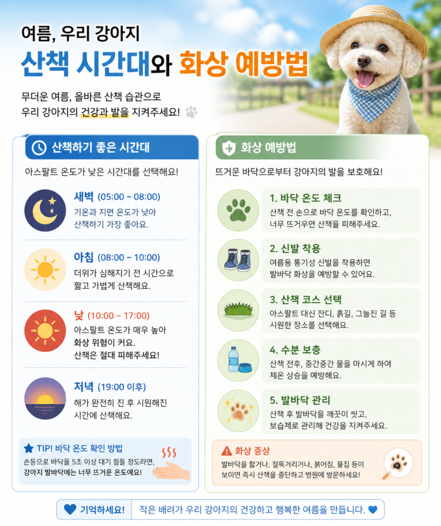 여름 강아지 산책 시간대와 화상 예방법