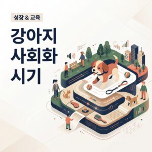 강아지 사회화 시기 언제부터 시작할까