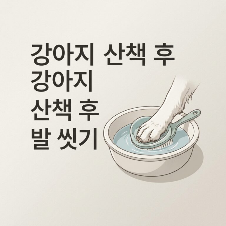 강아지 산책 후 발 씻기