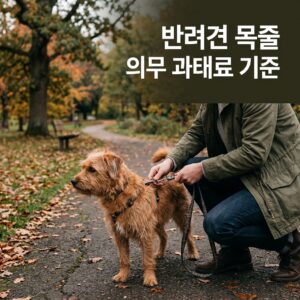 반려견 목줄 의무 과태료 기준