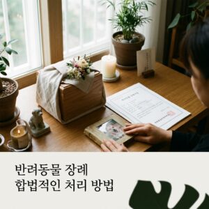 반려동물 장례 합법적인 처리 방법