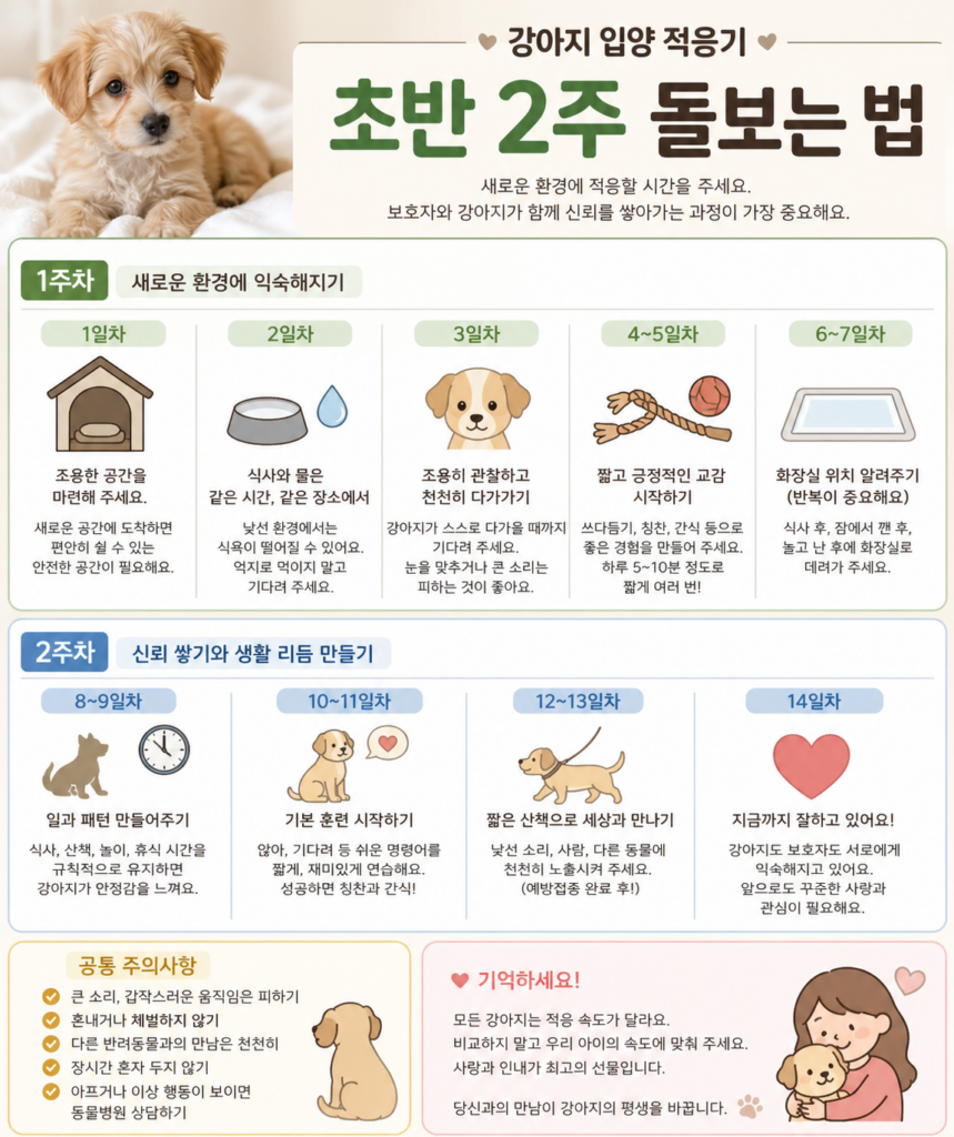 강아지 입양 적응기