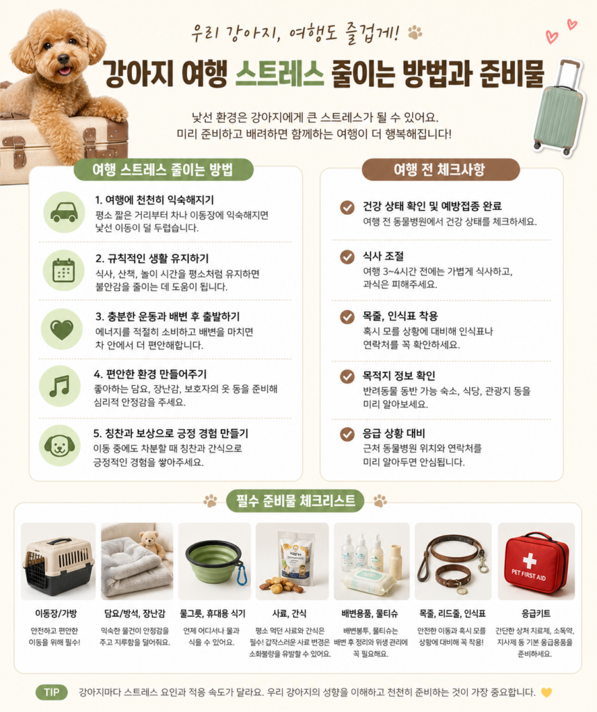 강아지 여행 스트레스 줄이는 방법