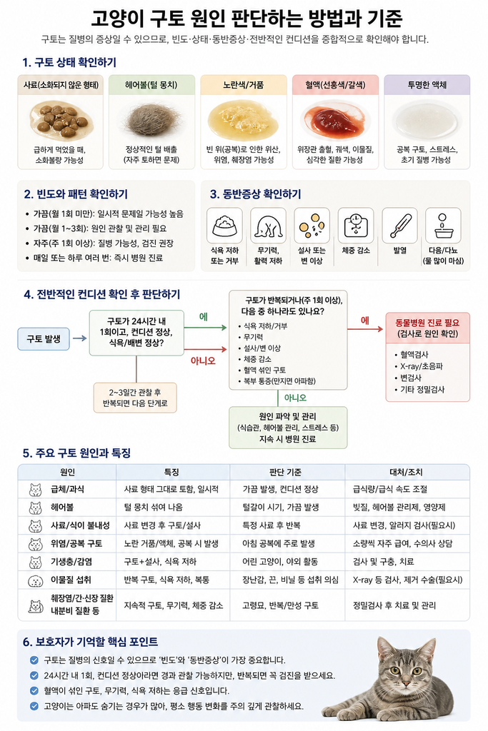 고양이 구토 원인 판단하는 방법과 기준